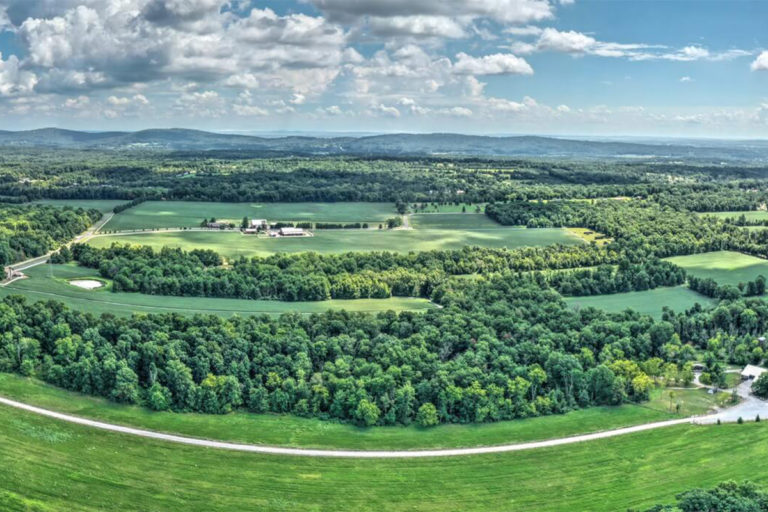 Large Estate Property